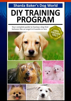 DIY dog training ebook cover