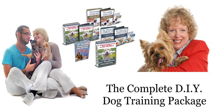 complete DIY dog training package