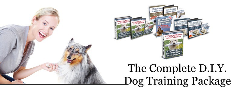 complete dog training