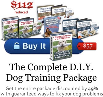 diy dog training