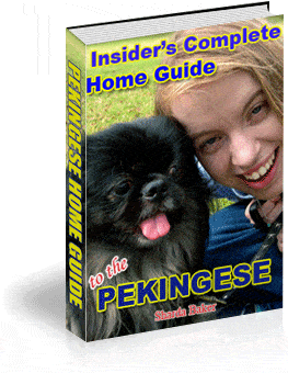 Pekingese