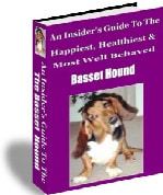 basset hound ecover