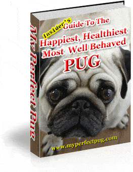 Pug eBook