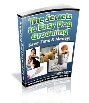 secrets to easy dog grooming