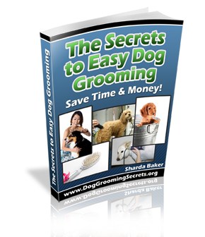 secrets to easy dog grooming