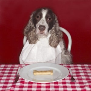 Picture taken from from www.thedogtrainingformula.com