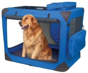 Picture taken from www.petstorebyconny.com