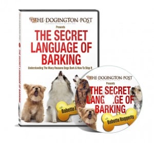 Barking_DVDmockup-300x279