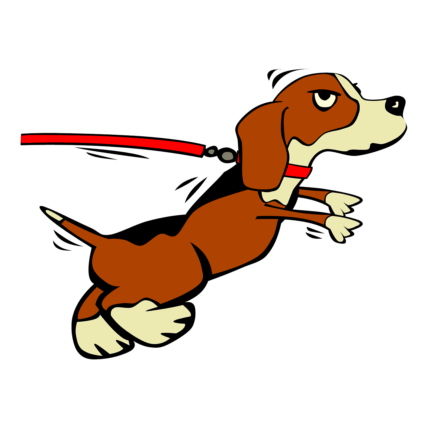 Dog pulling on leash